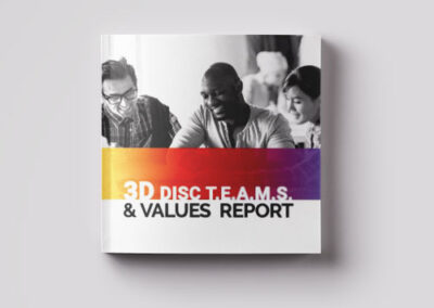PeopleKeys® Report (DTV – DISC Report with TEAMS & Values)