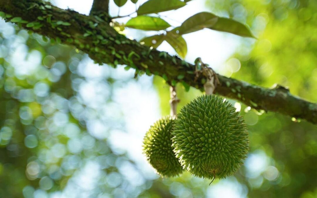 Dive into the Seductive Power of a Growth Mindset